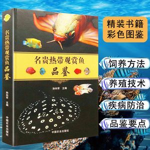 金龍魚(yú)花怎么養(yǎng)：金魚(yú)花怎么養(yǎng)，金魚(yú)花的養(yǎng)殖方法