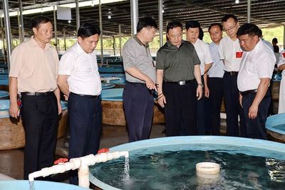 大龍魚如何撈出來(lái)養(yǎng)：如何撈取和轉(zhuǎn)移大龍魚