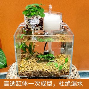 大魚缸小魚缸數(shù)學(xué)問題：從大魚缸倒出100/3升水到小魚缸 魚缸百科 第2張