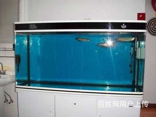 大型魚缸清洗方法有哪些視頻：大型魚缸怎么清洗大型生態(tài)魚缸清洗方法和技巧 魚缸百科 第1張