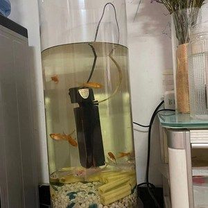 1.2米魚缸用多厚的玻璃管好：1.2米的魚缸用多厚的玻璃管好 魚缸百科 第2張