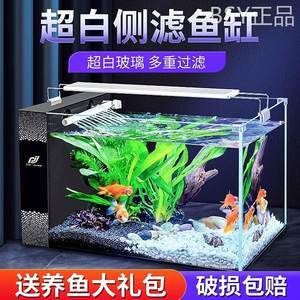 超白魚缸養(yǎng)什么魚最好 魚缸百科 第2張