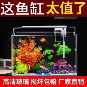 大魚缸要換水嗎：魚缸換水注意事項(xiàng)在給魚缸換水的頻率和方法需要注意 魚缸百科 第2張