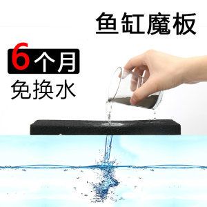 大魚缸要換水嗎：魚缸換水注意事項(xiàng)在給魚缸換水的頻率和方法需要注意 魚缸百科 第3張