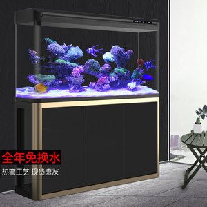 大魚缸要換水嗎：魚缸換水注意事項(xiàng)在給魚缸換水的頻率和方法需要注意 魚缸百科 第1張