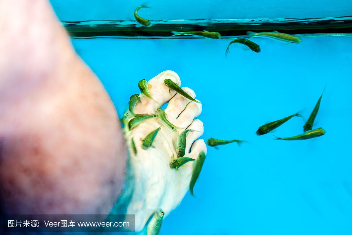 玻璃鋼做魚(yú)缸怎么樣：玻璃鋼魚(yú)缸優(yōu)缺點(diǎn) 魚(yú)缸百科