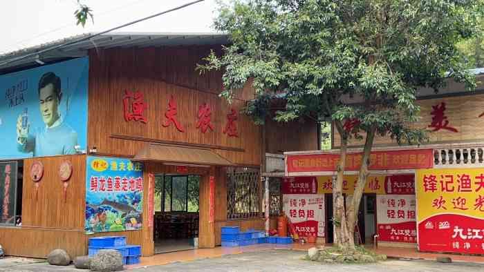 九江龍魚專賣店：九江龍魚專賣店怎么樣