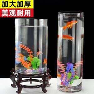 半圓柱形魚缸的優(yōu)缺點有哪些：半圓柱形魚缸優(yōu)缺點 魚缸百科 第3張