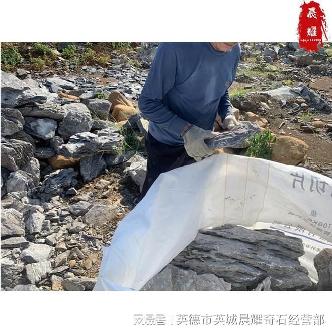 大型景觀魚缸制造廠家：多家專注于大型景觀魚缸制造的廠家 魚缸百科 第4張