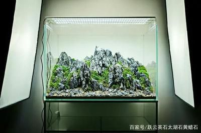 便宜的魚缸造景