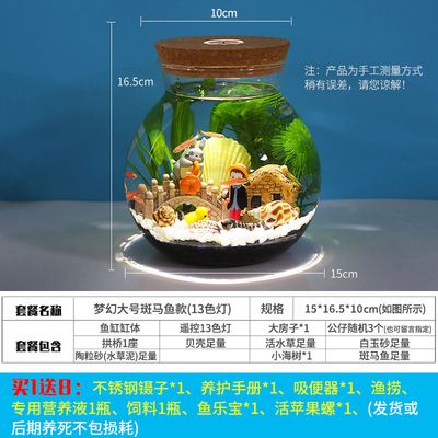 斗魚(yú)缸尺寸：斗魚(yú)缸尺寸選擇對(duì)于斗魚(yú)的健康和生活環(huán)境至關(guān)重要 魚(yú)缸百科 第3張