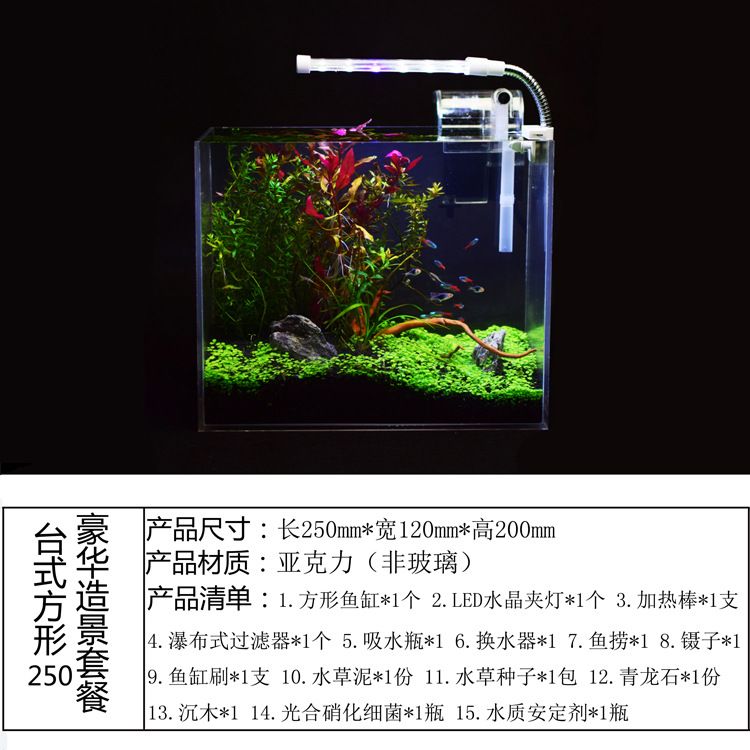 斗魚(yú)缸尺寸：斗魚(yú)缸尺寸選擇對(duì)于斗魚(yú)的健康和生活環(huán)境至關(guān)重要 魚(yú)缸百科 第4張