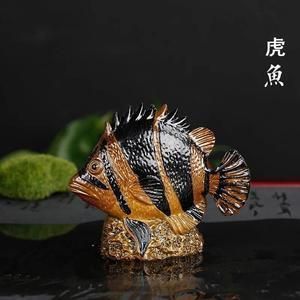 金龍魚變色的前兆有哪些癥狀：金龍魚變色的一些可能前兆