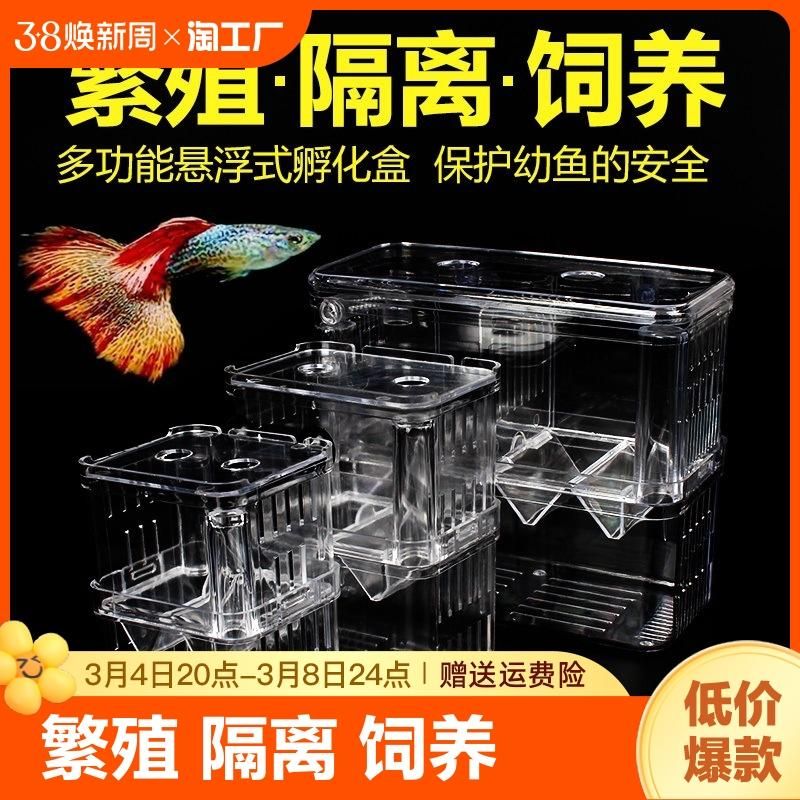 斗魚魚缸制作方法：如何選擇合適的斗魚魚缸 魚缸百科 第4張