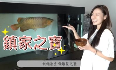 養(yǎng)龍魚(yú)有什么忌諱嗎女生：養(yǎng)龍魚(yú)時(shí)有一些常見(jiàn)的忌諱需要注意，以確保龍魚(yú)的健康和長(zhǎng)壽