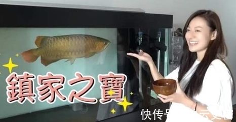 養(yǎng)龍魚(yú)有什么忌諱嗎女生：養(yǎng)龍魚(yú)時(shí)有一些常見(jiàn)的忌諱需要注意，以確保龍魚(yú)的健康和長(zhǎng)壽