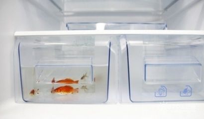 大型魚缸一天用多少電正常：大型魚缸一天用電量多少 魚缸百科 第4張