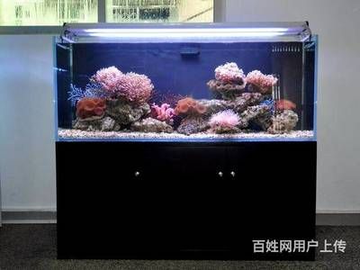 大型魚缸怎么清洗換水器：大型魚缸清洗換水器的使用方法 魚缸百科 第3張