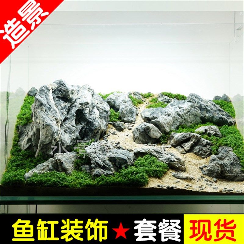 100cm魚缸造景：100cm魚缸造景關(guān)鍵步驟和注意事項(xiàng)和注意事項(xiàng) 魚缸百科 第2張