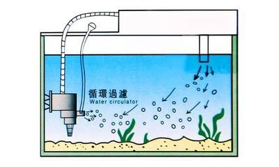 博宇魚缸水泵安裝圖：博宇魚缸水泵安裝圖對不起，我無法提供您需要的信息 魚缸百科 第4張