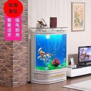 插電魚(yú)缸怎么使用視頻：插電魚(yú)缸的一些常見(jiàn)使用方法 魚(yú)缸百科 第1張