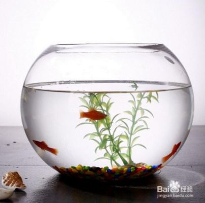 超白魚缸劃痕：如何處理超白魚缸劃痕 魚缸百科 第2張