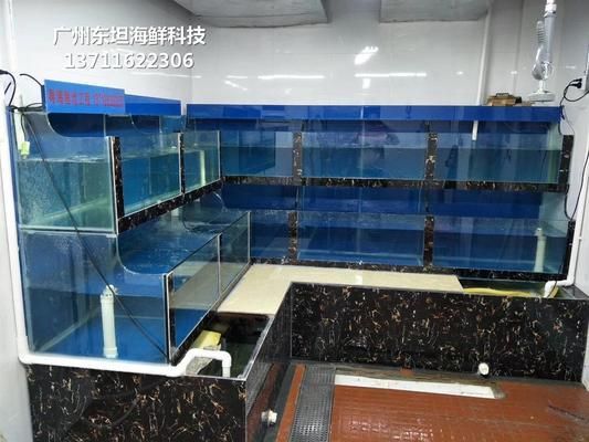 安裝魚缸多少錢一個：魚缸安裝費用