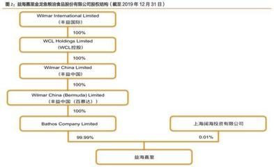 金龍魚股權(quán)激勵(lì)：金龍魚推出股權(quán)激勵(lì)計(jì)劃 龍魚百科 第1張