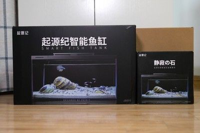 包裝一個魚缸大概需要多少錢：包裝一個魚缸的具體費用需要根據(jù)實際情況來確定 魚缸百科 第3張