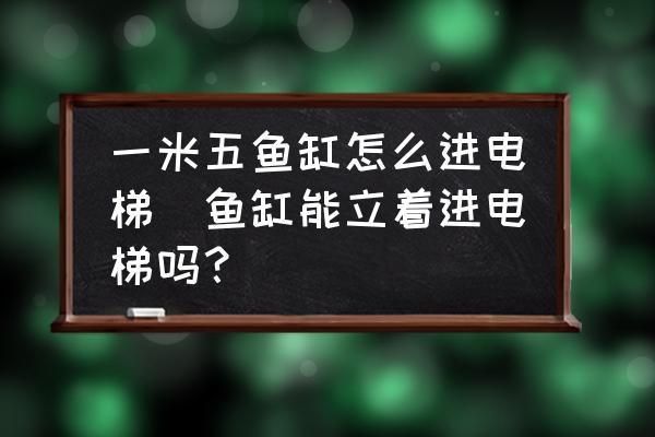 大魚缸怎么進電梯：大魚缸如何搬運電梯 魚缸百科 第1張