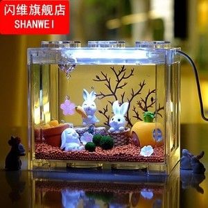 斗魚缸如何造景：斗魚缸造景步驟和注意事項 魚缸百科 第4張