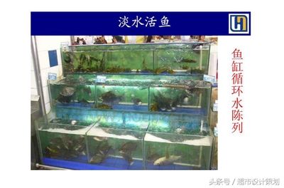 超市魚缸的魚該怎么養(yǎng)好呢：在超市魚缸養(yǎng)魚需要注意什么？ 魚缸百科 第2張