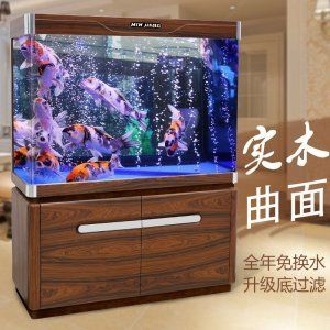 大型魚缸多少錢：杭州大型魚缸多少錢一個 魚缸百科 第4張