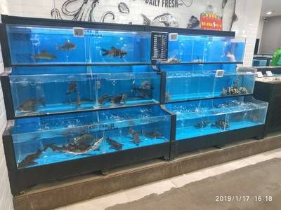 超市魚缸制作視頻：杭州鑫欣水族工程有限公司超市魚缸制作視頻上線