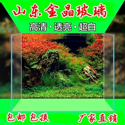 茶臺魚缸 玻璃：在選擇茶臺魚缸時，需要考慮以下幾個方面，您需要考慮 魚缸百科 第3張