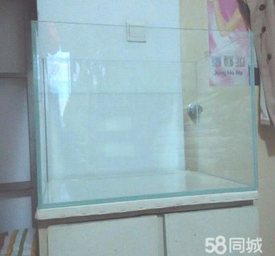 超白金晶魚缸 503035多少錢：50,30,35的超白金晶魚缸的價(jià)格 魚缸百科 第1張