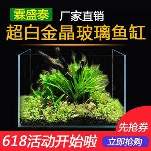 超白金晶魚缸 503035多少錢：50,30,35的超白金晶魚缸的價(jià)格 魚缸百科 第3張