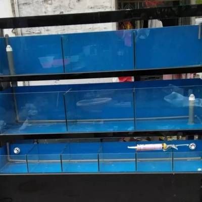 成品魚缸包邊怎么拆視頻：成品魚缸包邊拆卸方法 魚缸百科 第1張