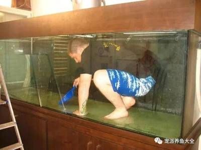 布好景的魚缸如何清理水垢：如何使用牙膏清理魚缸水垢？ 魚缸百科 第2張