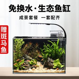 打氧魚缸怎么換水：打氧魚缸如何換水？ 魚缸百科 第4張