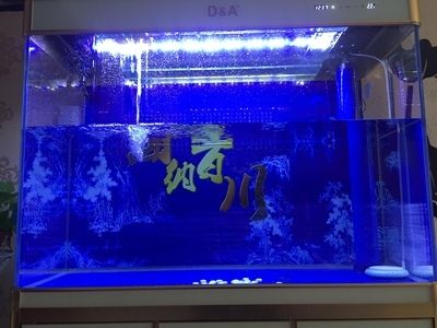 大型魚缸如何搬運視頻教學(xué)：魚缸搬運中的風(fēng)水禁忌 魚缸百科 第4張