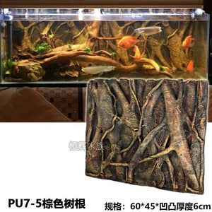 1米5魚缸一般的多寬 魚缸百科 第2張