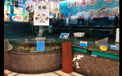 白溝魚缸批發(fā)市場在哪里啊幾點開門：保定白溝魚缸批發(fā)市場開門時間 魚缸百科 第1張