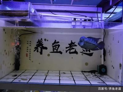 不銹鋼魚缸：不銹鋼魚缸的定義和用途 魚缸百科 第1張