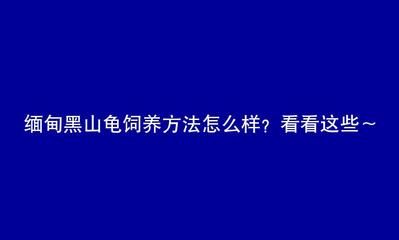 不用清理魚缸的魚叫什么龜：清潔魚缸中的垃圾和廢物，可以幫助清理魚缸中的垃圾和廢物 魚缸百科 第3張