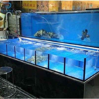 大型魚缸魚缸怎么換水：大型魚缸換水方法和注意事項(xiàng) 魚缸百科 第4張