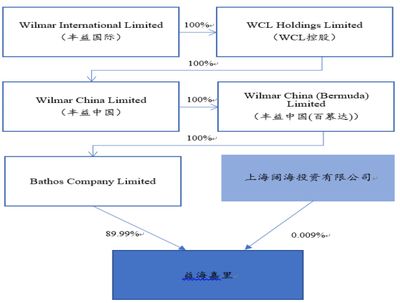 金龍魚股權(quán)分配：金龍魚的股權(quán)分派 龍魚百科 第3張