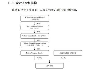 金龍魚股權(quán)分配：金龍魚的股權(quán)分派 龍魚百科 第2張