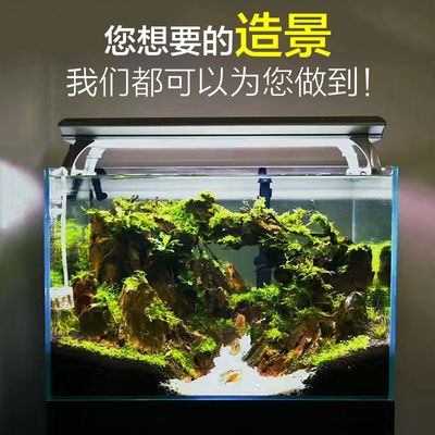 超白魚缸造景：超白魚缸造景是一項(xiàng)結(jié)合了美學(xué)、生態(tài)學(xué)、技術(shù)的工作 魚缸百科 第3張