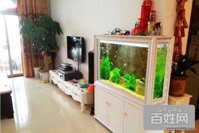 家庭用水族魚缸怎么選：家庭用水族魚缸的選擇指南 魚缸風水 第1張